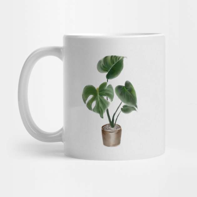 Monstera Plants by Ammi